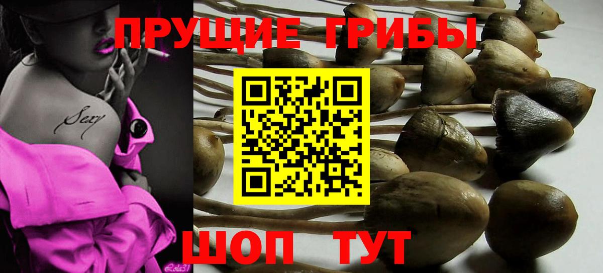 Дзержинск  Галлюциногенные грибы Psilocybine cubensis  наркошоп  Вход с VPN  Псилоцибиновые грибы Psilocybe 